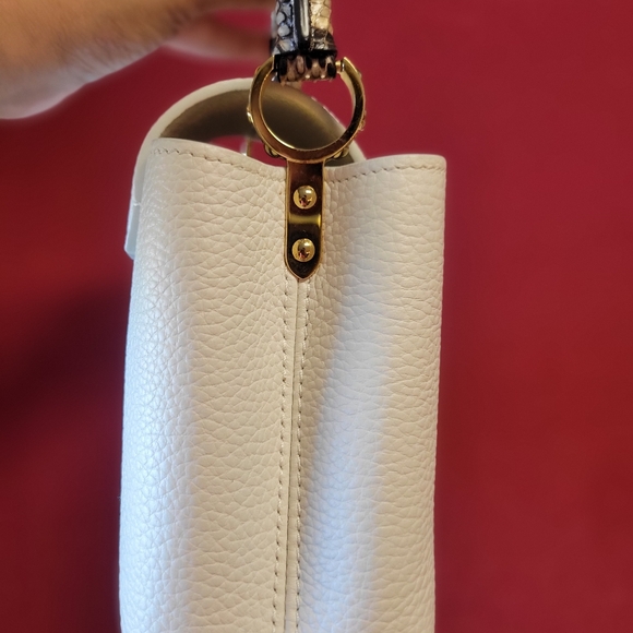 Louis Vuitton Mini Capucine with Exotic Touch - Picture 4 of 10